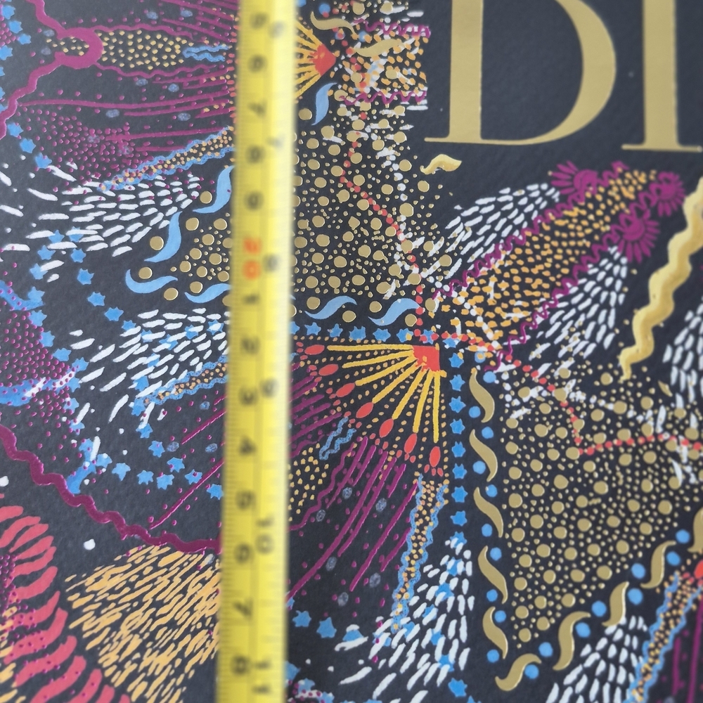 Luxury Christian  Dior Holiday Toile Dior Multicolor Designergift  Bag 16.5x5x12 - Picture 15 of 16